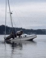 200.gif 200.gif