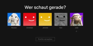 1732684300494.webp