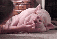 200.gif 200.gif