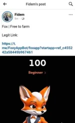 fox3.webp