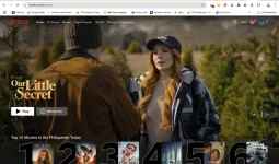 1732772206021.webp 1732772206021.webp
