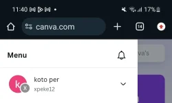 Screenshot_20241128_234024_Chrome.webp