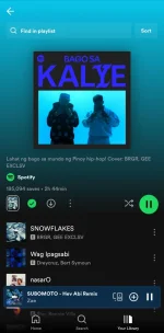 Screenshot_20241129_020851_Spotify.png