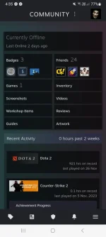 Screenshot_20241129_043510_Steam.webp