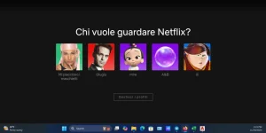 1732872224654.webp