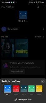 Screenshot_2024-11-29-23-12-13-488_com.netflix.mediaclient.webp