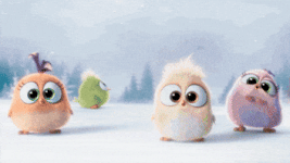 200.gif 200.gif