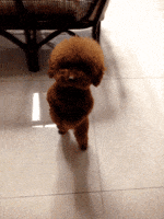 200.gif 200.gif