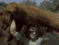 200.gif 200.gif