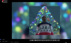 1733028460339.webp