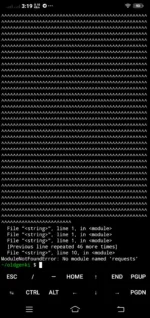 1733124039354.webp