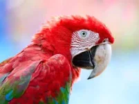 images (21).webp images (21).webp