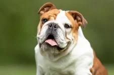 images (1).webp