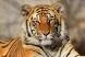 download (1).webp
