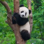 images (23).webp