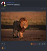 1000088099.webp 1000088099.webp