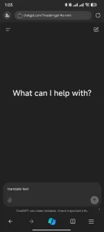 1000475538.webp