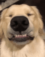 200.gif 200.gif