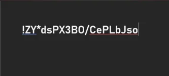 1733271356709.webp