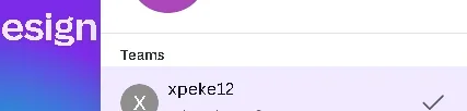 1733284473333.webp
