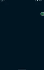 Screenshot_20241204-153846.webp