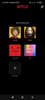 Screenshot_2024-12-04-21-34-20-102_com.netflix.mediaclient.webp