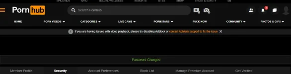 Security-Email-and-Password-Pornhub-com-12-04-2024_10_47_PM.webp