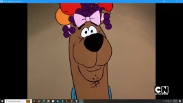 1733331910074.webp