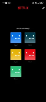 Screenshot_20241205_131026_com.netflix.mediaclient.webp