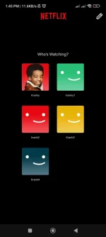 Screenshot_2024-12-05-13-45-30-804_com.netflix.mediaclient.webp