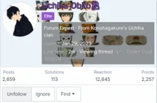 1733451248968.webp