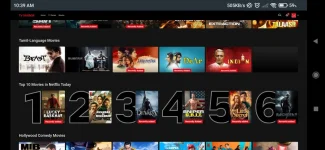 Screenshot_2024-12-06-10-39-14-950_app.netmirror.netmirrortv.webp