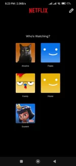 Screenshot_2024-12-07-20-23-59-181_com.netflix.mediaclient.webp