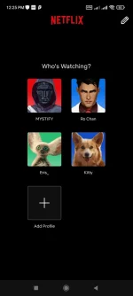 Screenshot_2024-12-08-12-25-09-297_com.netflix.mediaclient.webp