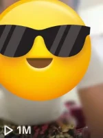462638771_912474547760324_7379740336683463819_n.webp