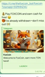 Screenshot_20241210_175904.JPG
