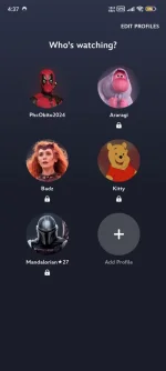 Screenshot_2024-12-10-16-37-40-005_com.disney.disneyplus.webp