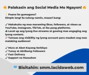 smm.webp smm.webp