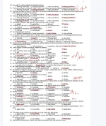1733838617113.webp 1733838617113.webp