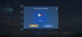 Screenshot_2024-12-11-06-51-00-886_com.mobile.legends.webp