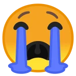 1733932321474.webp
