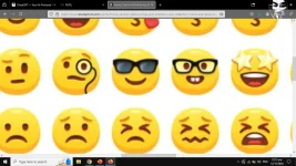 1733933628999.webp