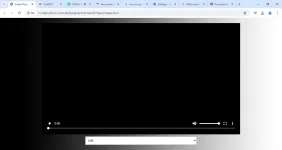 1733983880749.webp
