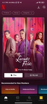 Screenshot_2024-12-12-16-11-35-824_com.netflix.mediaclient.webp