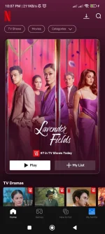 Screenshot_2024-12-12-22-07-38-907_com.netflix.mediaclient.webp