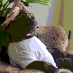 200.gif 200.gif