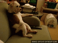 200.gif 200.gif