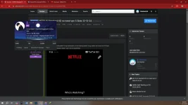 1734097180475.webp