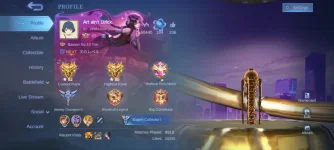 Screenshot_20241118_022757_Mobile Legends Bang Bang.jpg