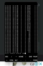 1000089584.webp